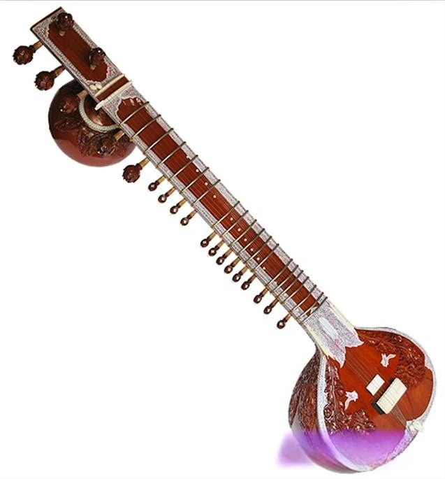 Musical Instrument Sitar - Müzik aletleri, sitar, sitar, profesyonel sert
